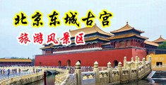 干骚妇屄中国北京-东城古宫旅游风景区